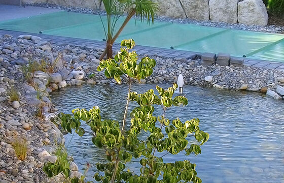 Teich mit Steingarten und Wasserspiel, Jona