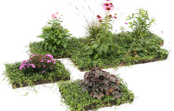 Sellana Pfanzenziegel - verschiedene Mischungen - Huber Gartenbau Wolfhausen